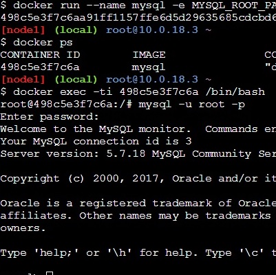 Docker Run MySQL